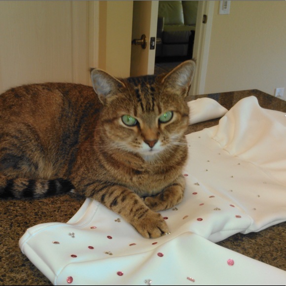 Meet your Posher, Jeanne π - Picture 6 of 8